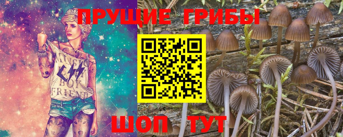 Псилоцибиновые грибы мицелий  цена   Алексин  Вход с VPN 